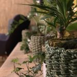 thumbnail_IMG_7507